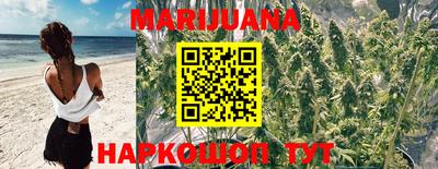 Альфа ПВП Кингисепп