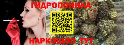 Альфа ПВП Кингисепп