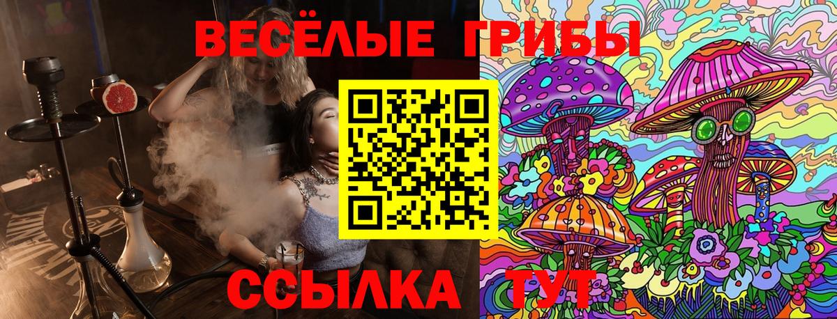 Георгиевск  Галлюциногенные грибы Psilocybe  Псилоцибиновые грибы Magic Shrooms  Вход с VPN 