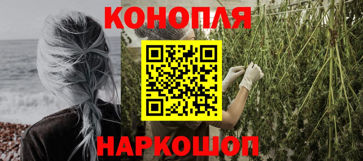 Бошки Шишки план Георгиевск